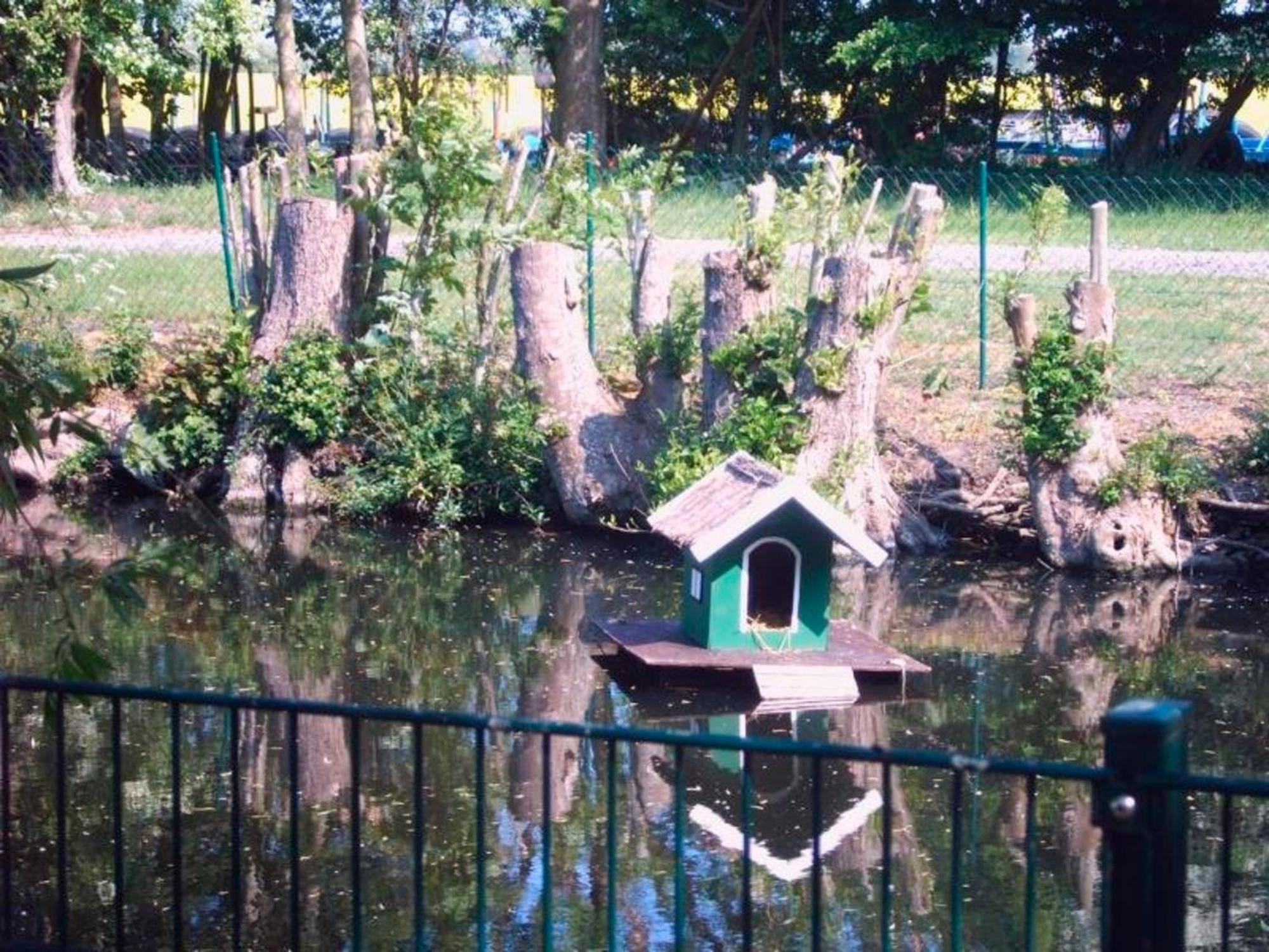 "Hoeper Mittelhof" Doppelzimmer Nr4 Lemkendorf Buitenkant foto